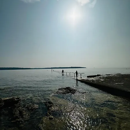 Perla Sea View Novigrad 아파트